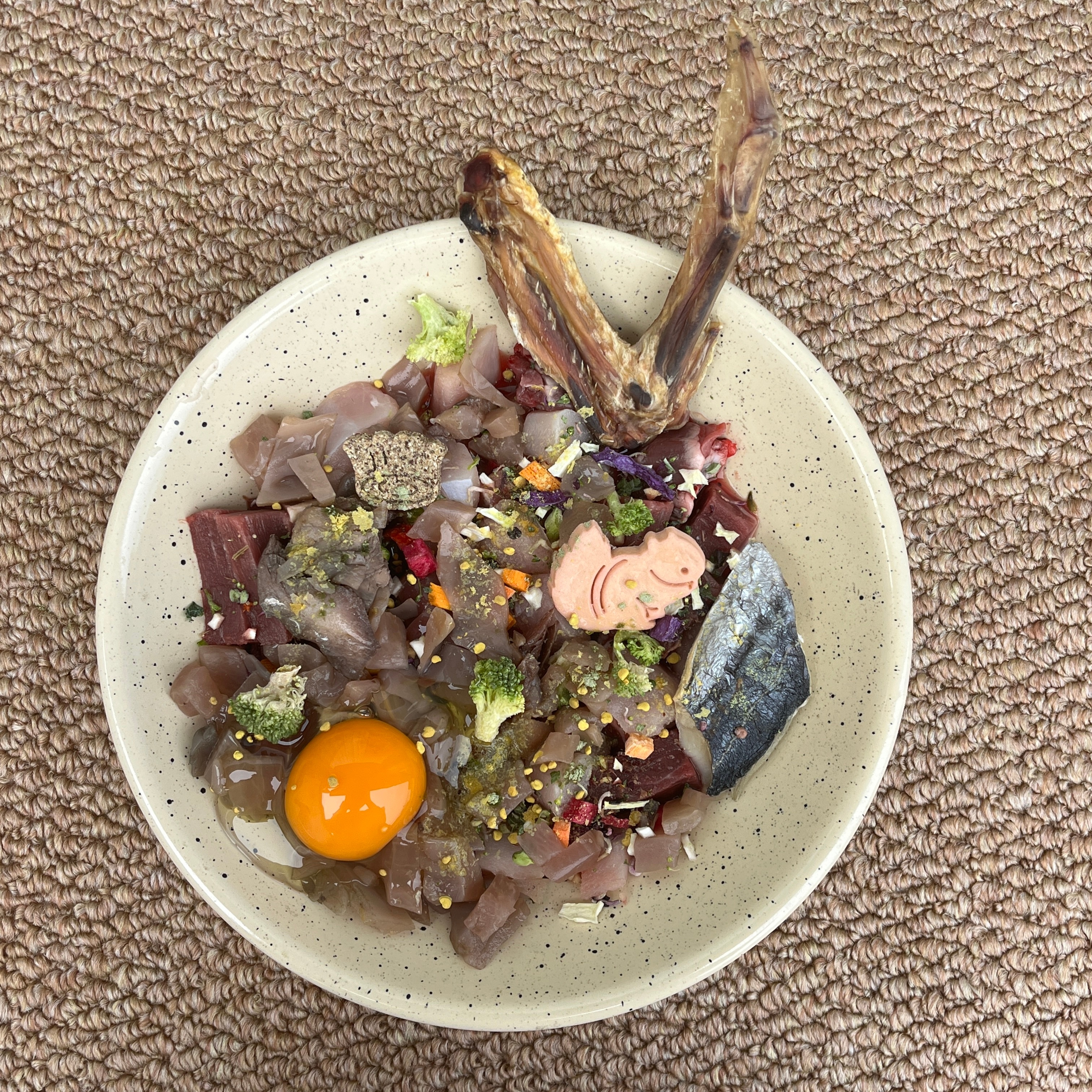 不知豆，专注我的做狗饭生活🍽️ 