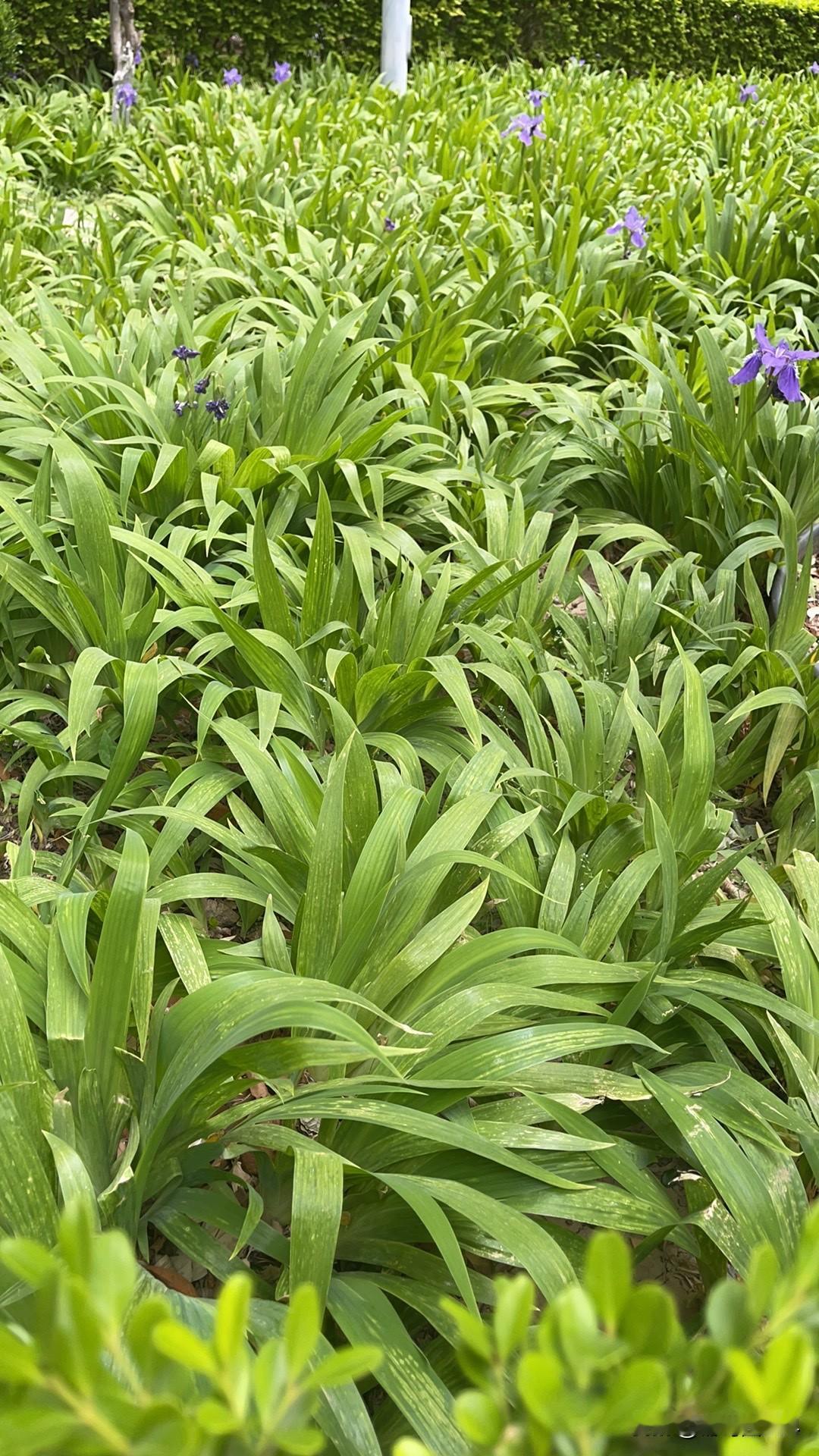 人类社会最本质的矛盾是什么?管理者想把你管住