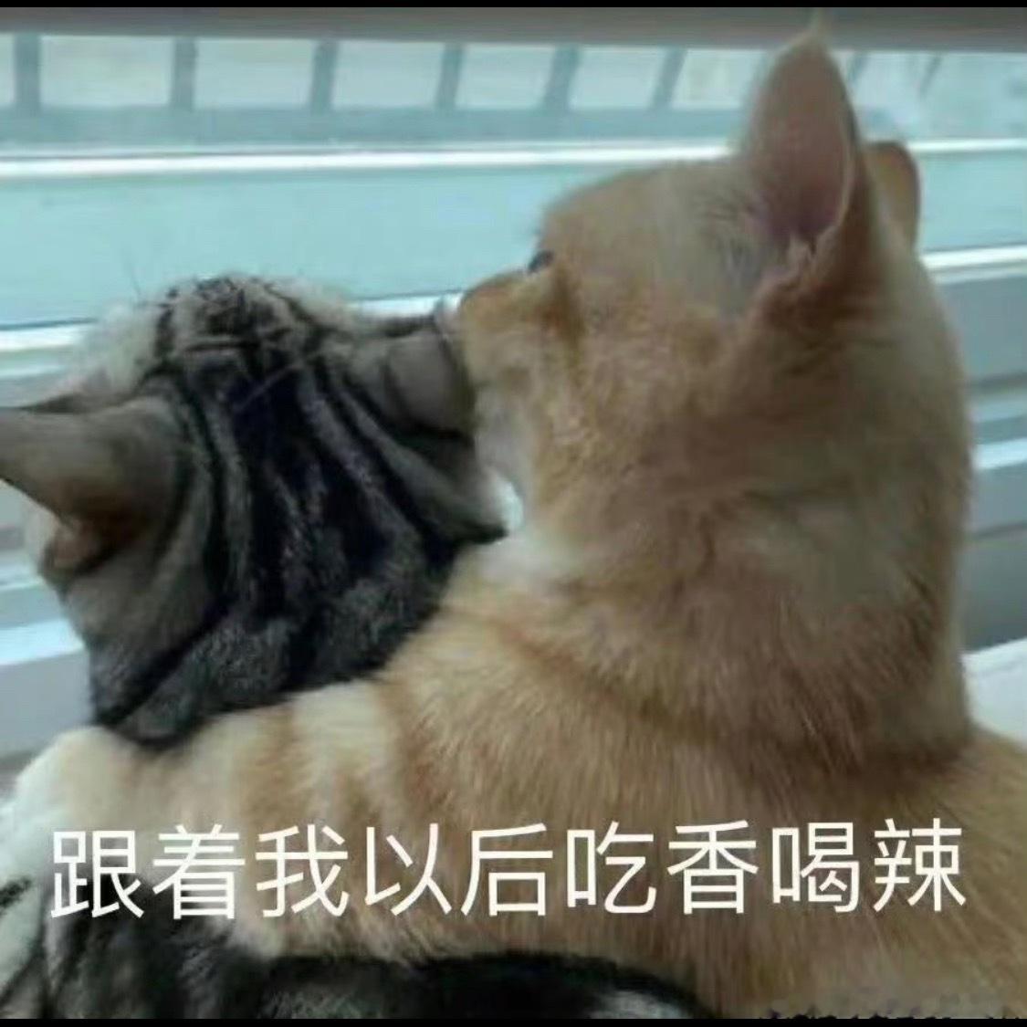杨紫都瘦成啥样了多吃点，都已经瘦成这样了别减肥，我们会心疼