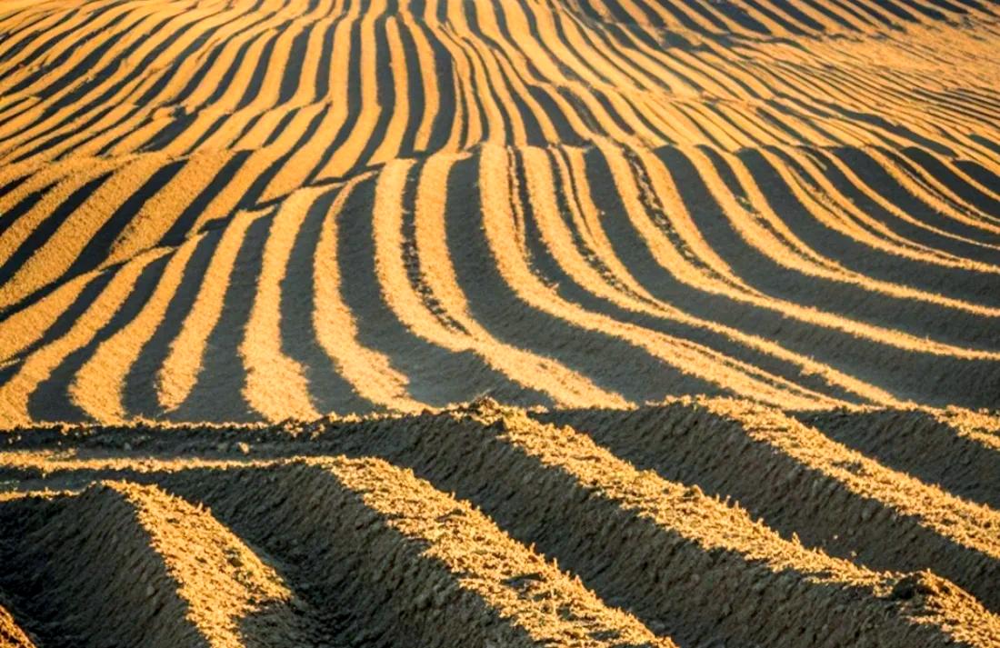 人生是很难两全的，如果你选择了大，那就很难做到精。如果你选择了精，那就很难做到大