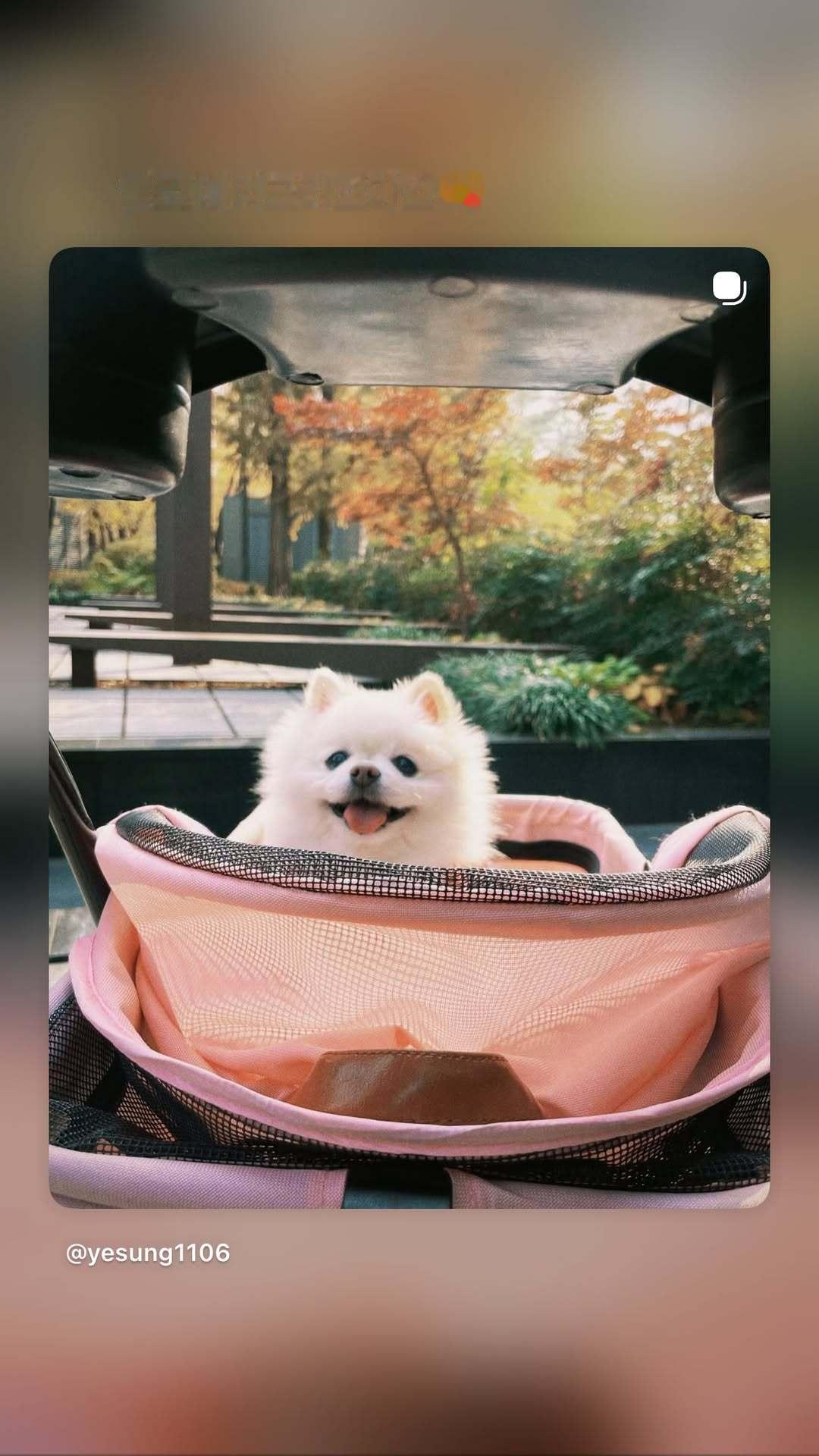 “CB百蓝_。251226金钟云 ins story更新：Melo圣诞快乐😘 