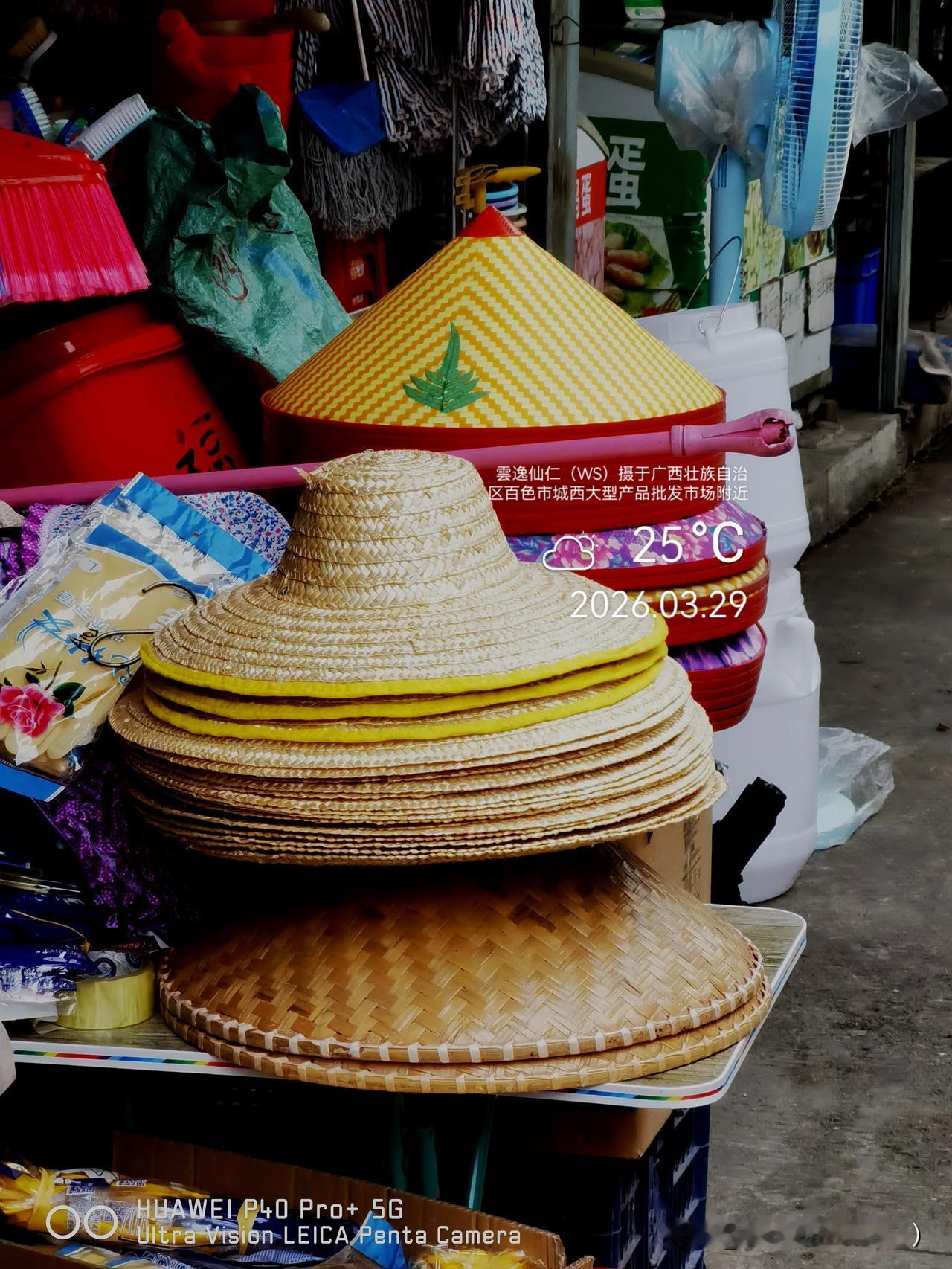 旅居生活记录（9440）广西壮族自治区百色市（125）逛城西大型农产品批发市场2