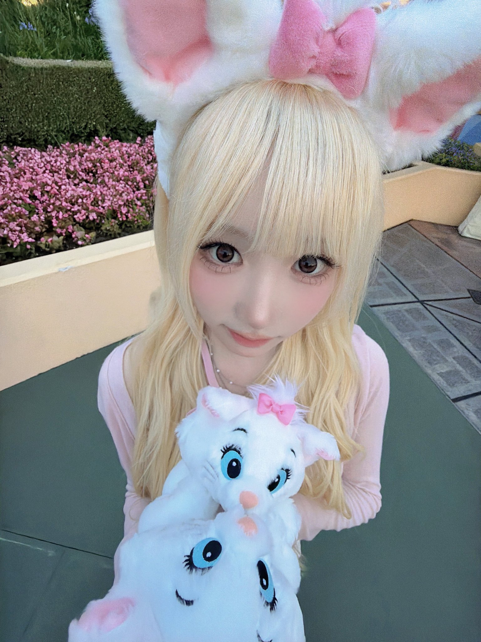 ･:*+.🏰♥︎🐰🐶😼･:*+. 