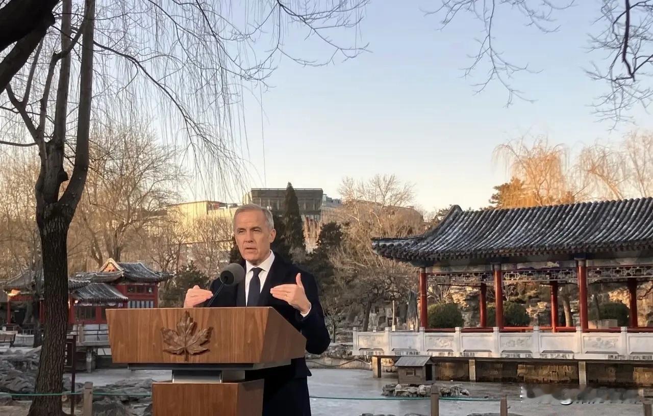 加拿大现任总理马克·卡尼比前任总理特鲁多强多了。面对特朗普的步步紧逼，他并未坐以