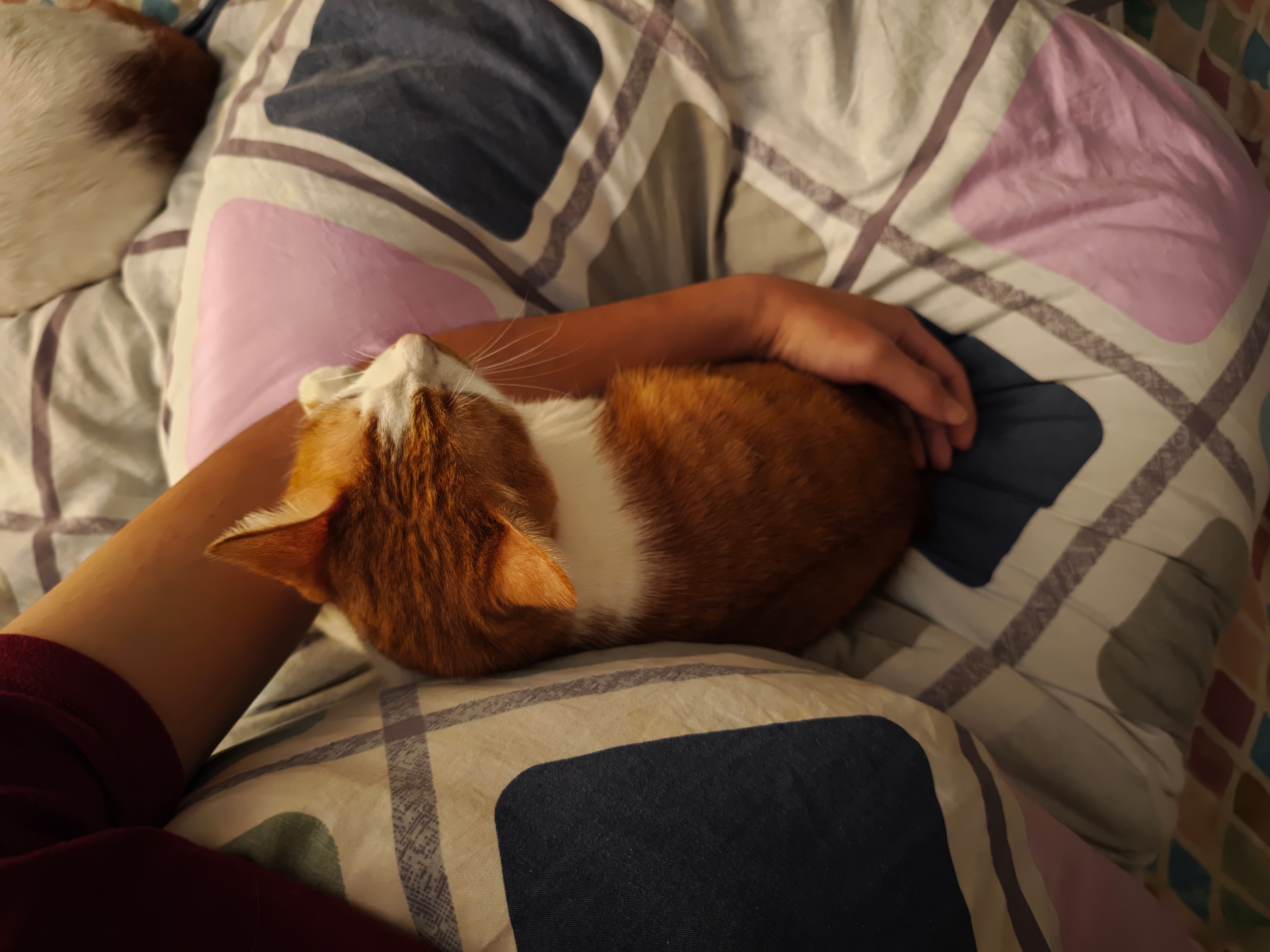 一天效率最高，同时进行2-3个事情的时间：刷牙 