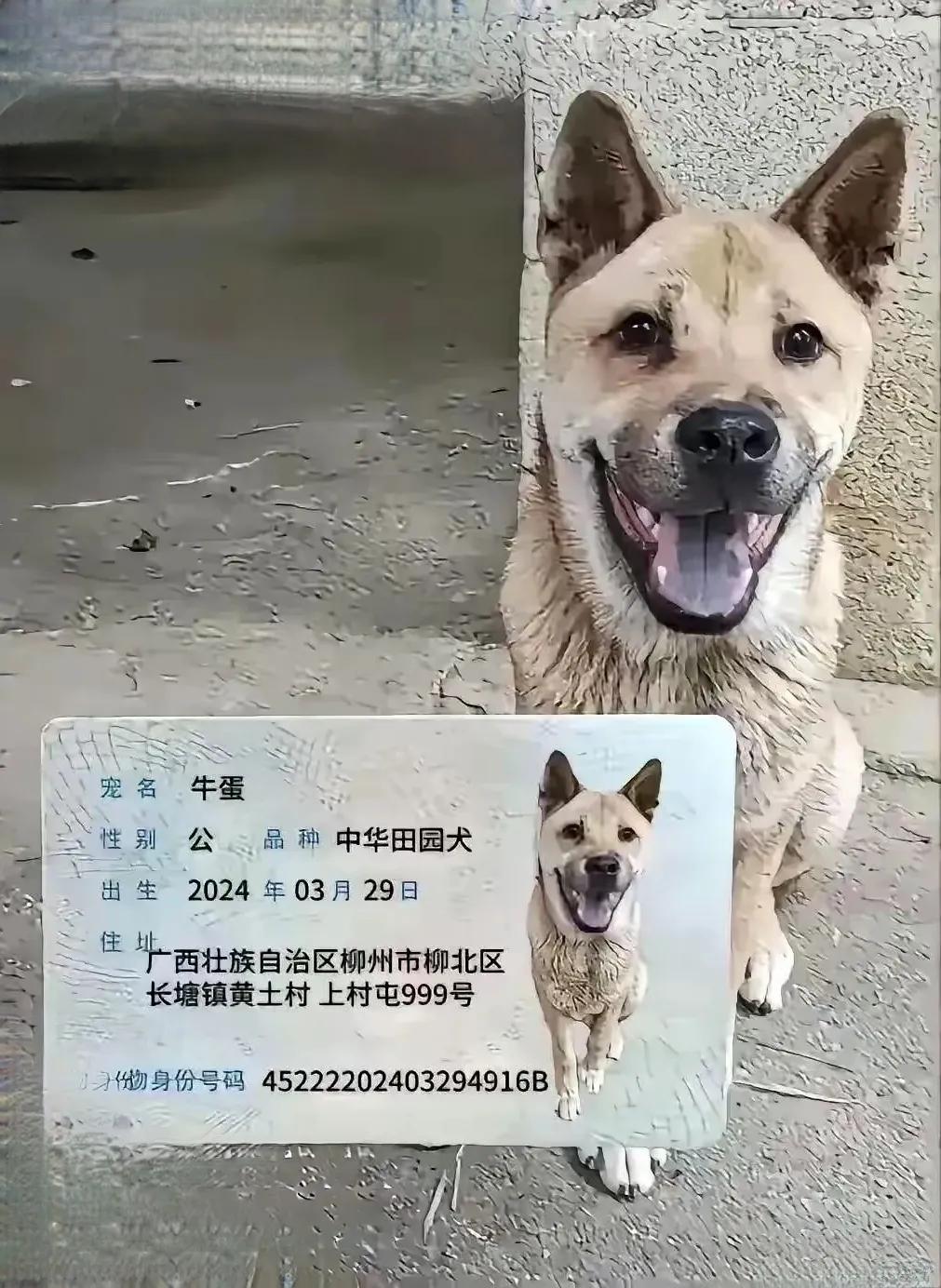 身份，丫是有身份的！