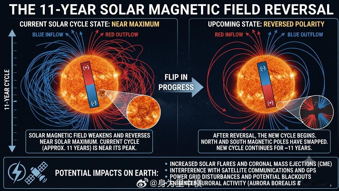 【太阳磁极反转】太阳的北极变成南极，南极变成北极🕙 周期：每隔大约 11年 发