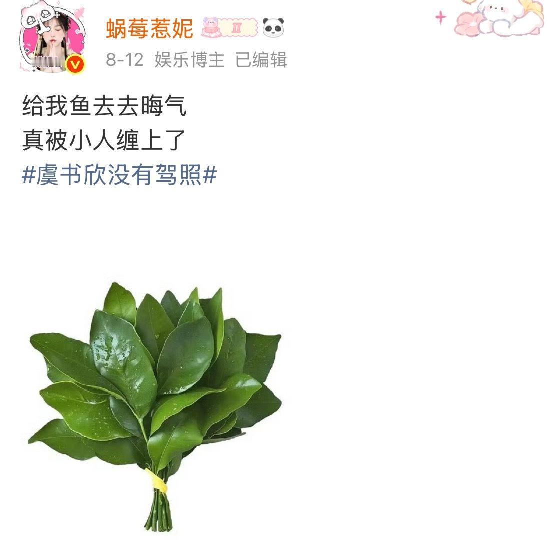 得 柚子叶又成它家起源的了🙄谁又能记得柚子叶一开始是用来驱茶魔的呢🍵 🙄 