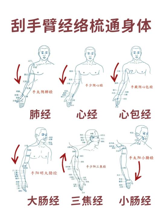 解锁手臂经络密码，开启健康之旅✨