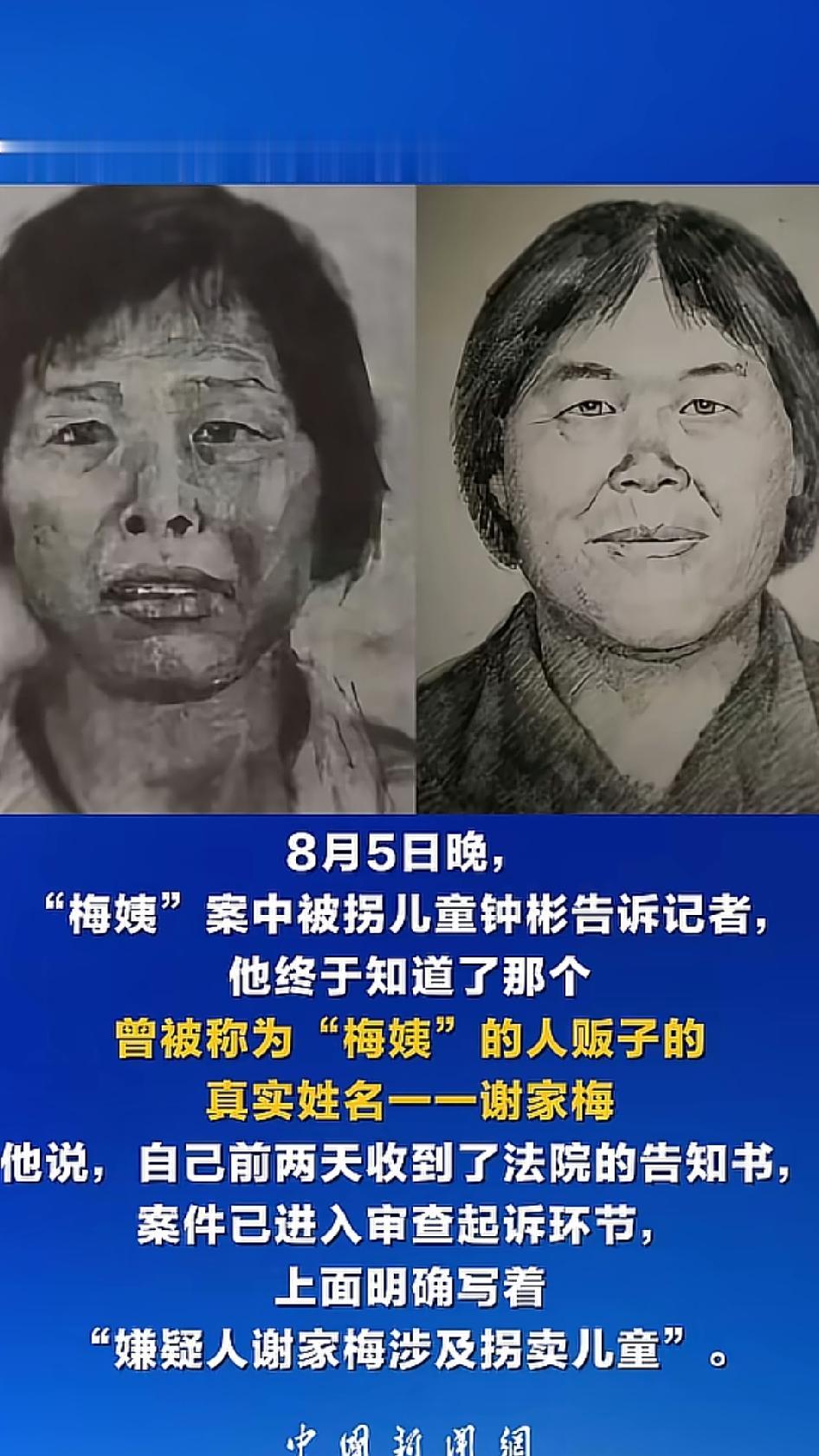 “梅姨案”正式名称是张维平、周容平拐卖儿童系列案，案发时间集中在2003年至20