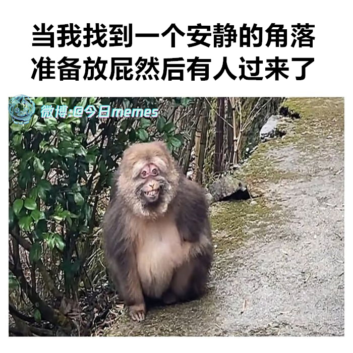你再找个（9gag）今日meme今日memes