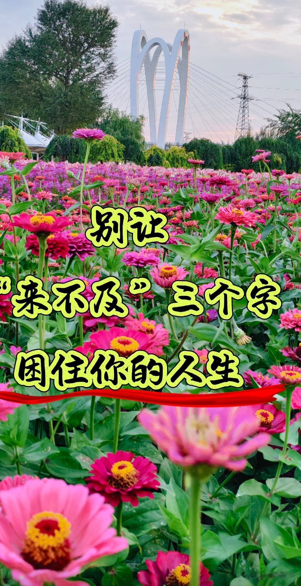 别让“来不及”三个字，困住你的人生

你有没有过这样的时刻？

看着别人升职加薪