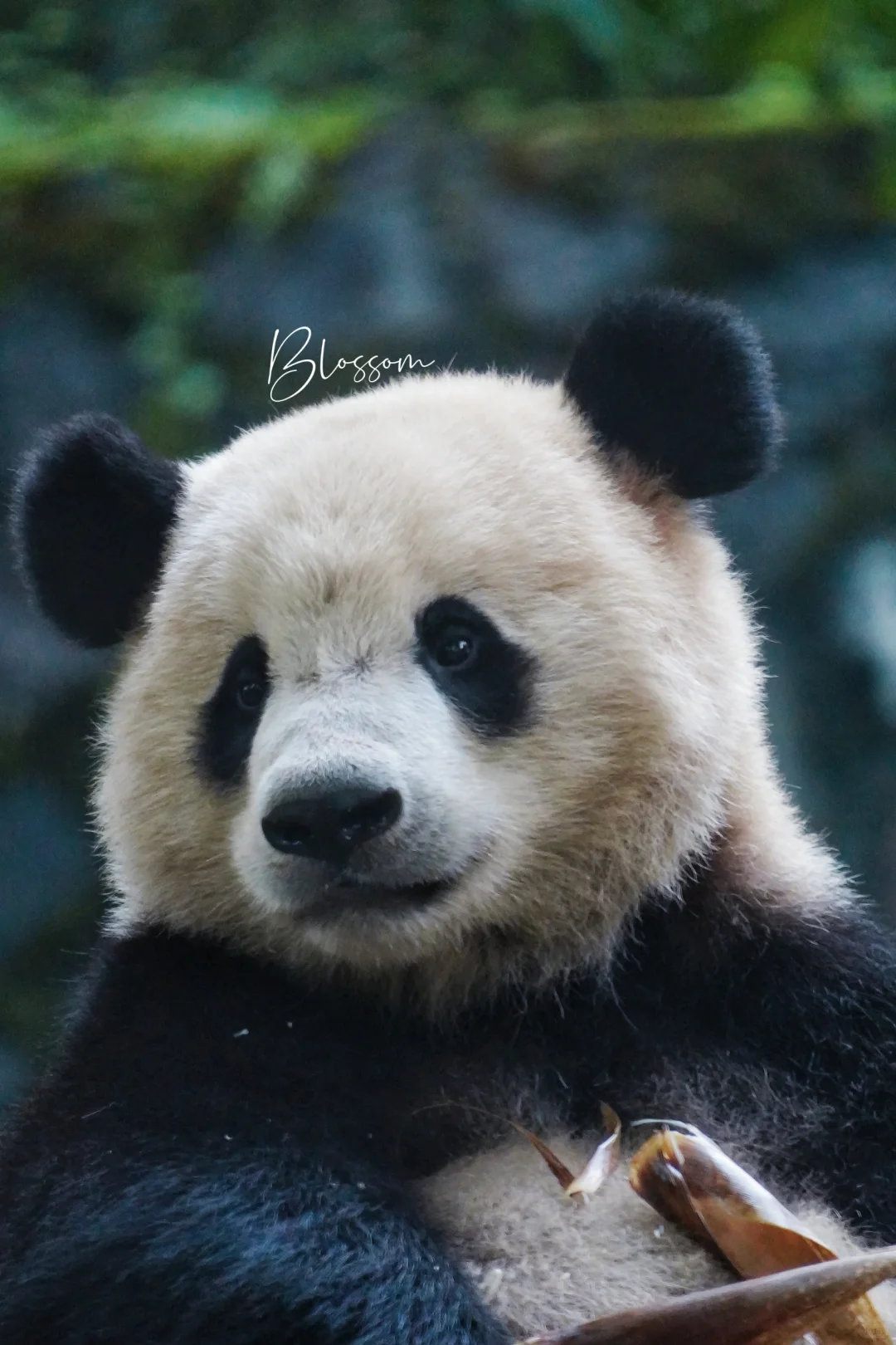 240805 三岁零一天的小宝方