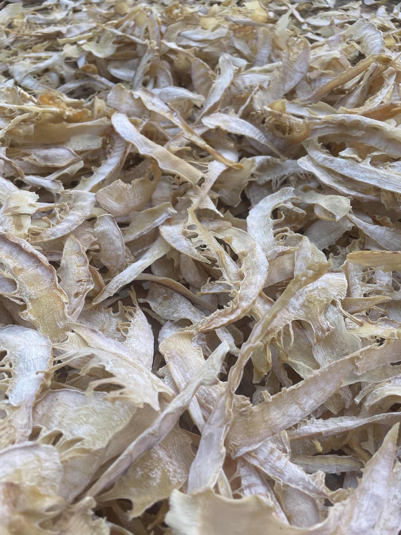 春日生活打卡季晴空万里，挖笋晒笋干，笋干也是一道美食