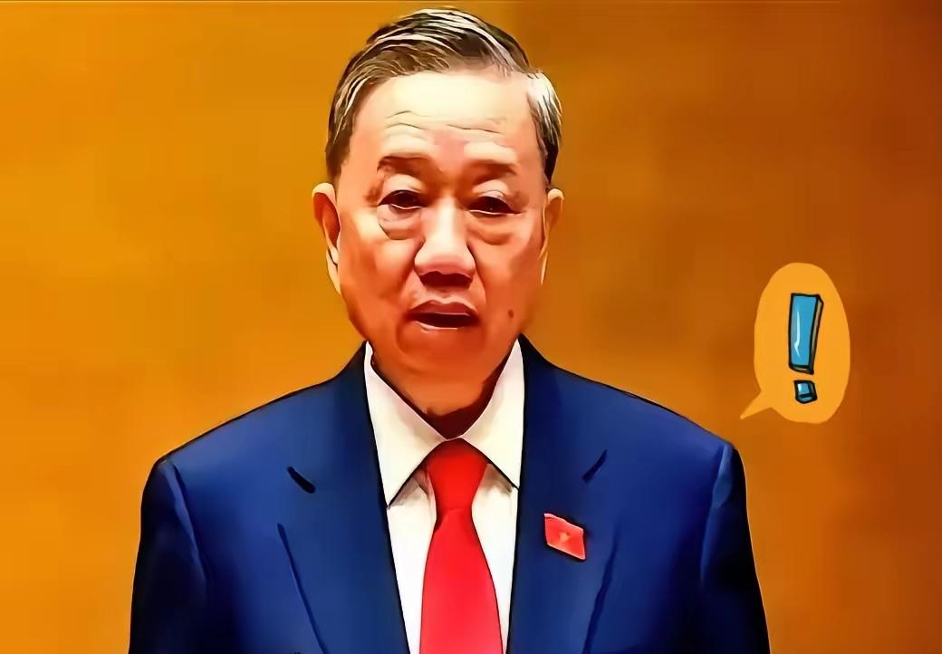 日本的决定，等于给越南的“大干快上”工程思路直接泼了一盆冰水。这水不仅冷，而且透