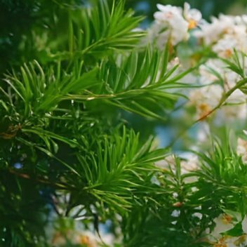 每日一善 每日一善 阳光信用 格局大了，生活就顺了，  要学会做一个做事有温度的