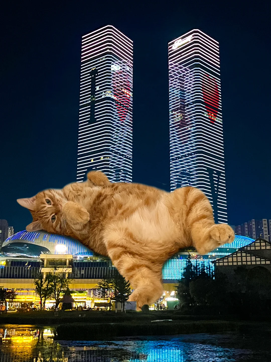 大海🍊贵阳避暑 限时返场