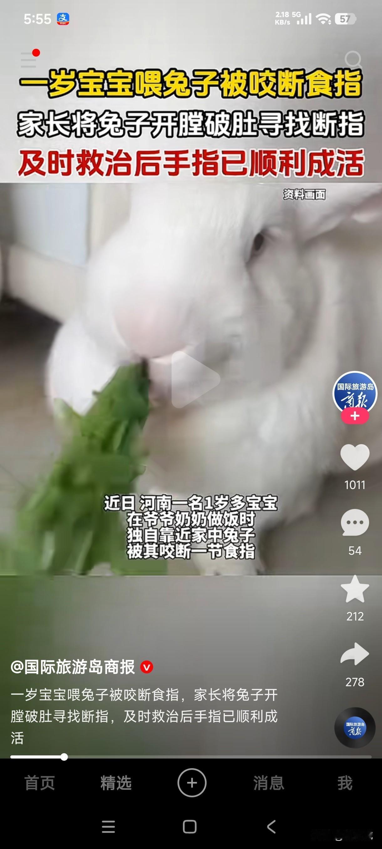 1岁宝宝喂兔子时被咬断食指，家长情急之下将兔子开膛破肚寻找断指，在兔子体内没找到