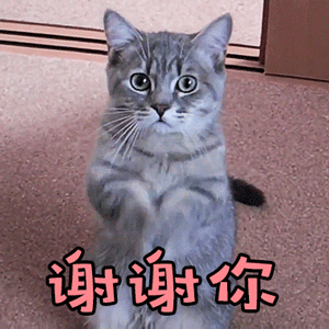 恭喜你成功浪费了12个月 一早上这种你说这礼貌吗？感谢我知道了[淡淡的][淡淡的