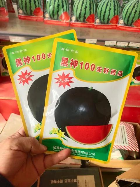 从2009年到2021年，这十多年我没怎么种地；2022年，我又开始在村里种地。