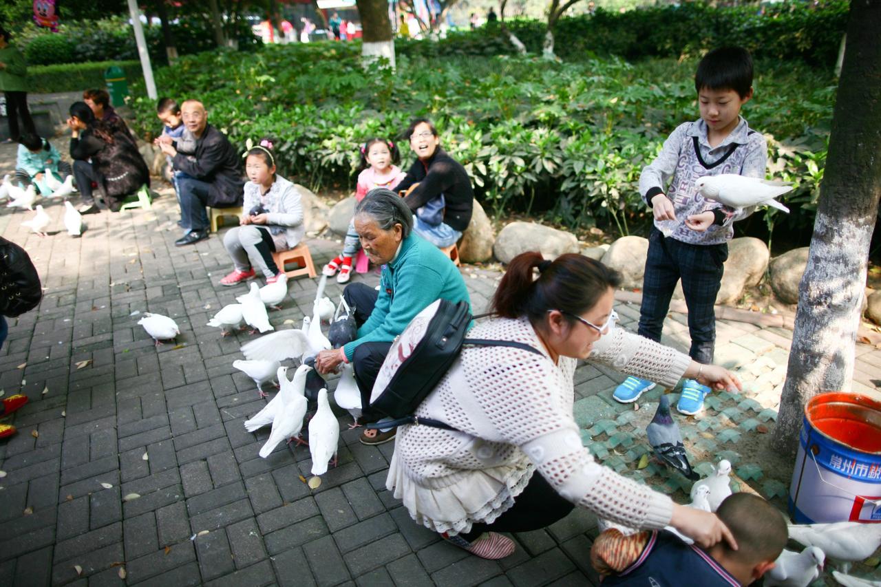 城市记忆 老照片 儿童公园 宜昌 宜见钟情心动宜昌