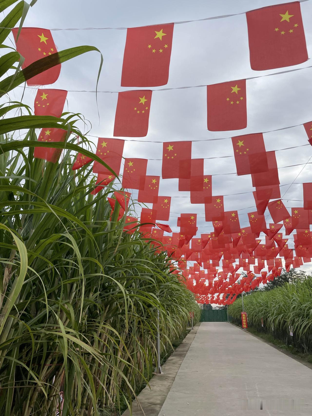 健康幸福年年在
和睦温馨处处春‌
四季平安