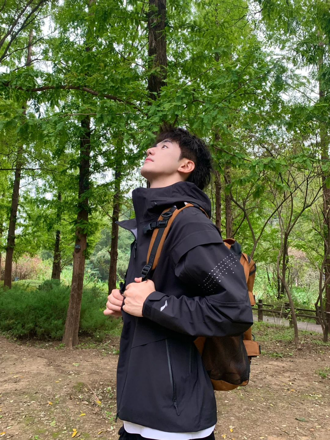 我是旷野里的一阵风