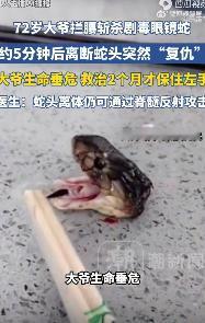 “太离奇了！”7月29日报道浙江诸暨，72岁大爷钓鱼时遇到眼镜蛇，用铲子将其斩首