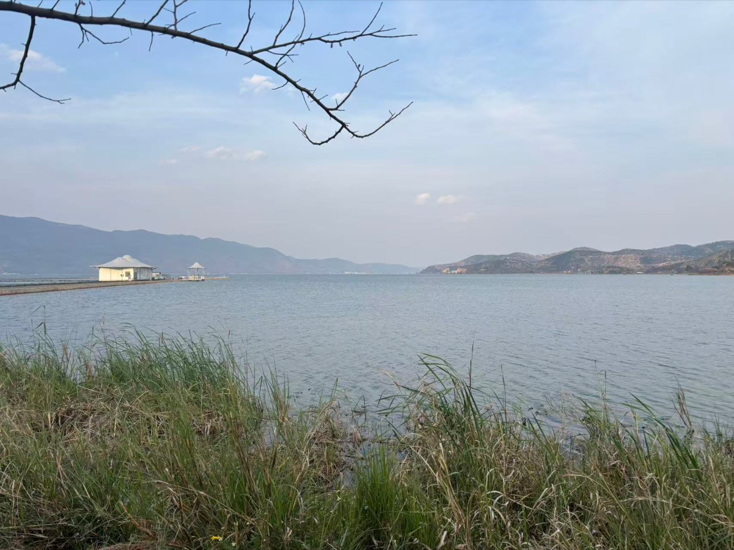 别去共情任何与你不同阶层的人，他的认知，本就配得上他所承受的一切苦难 重庆·重庆