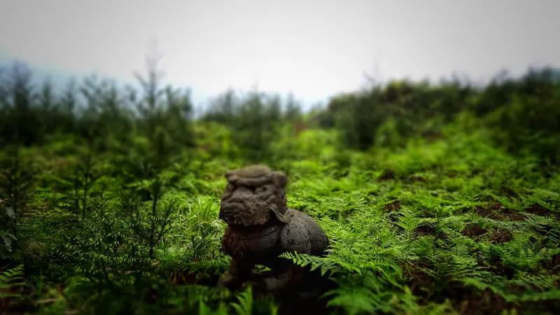 青山藏画意，谁有下联田野埋麒麟。