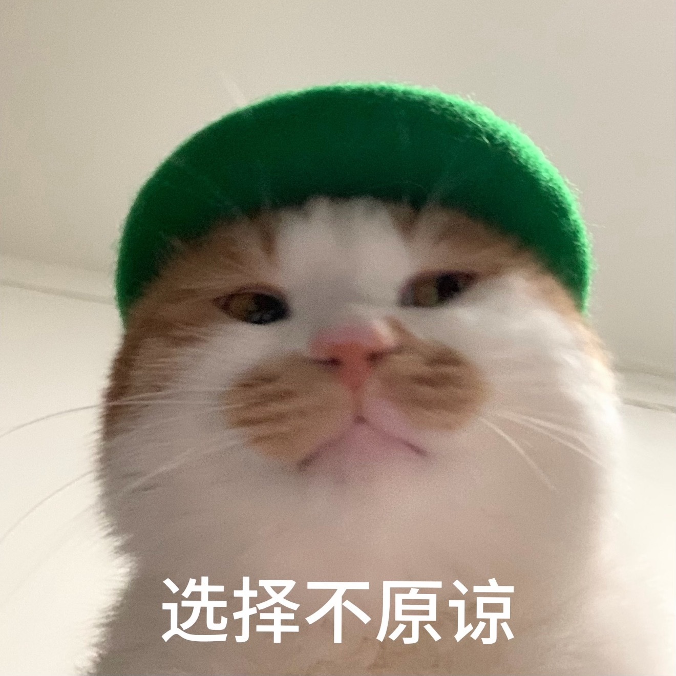 微信9大更新，依旧是更新了一些无人在意的东西大家都在求的朋友圈可编辑为什么不更新