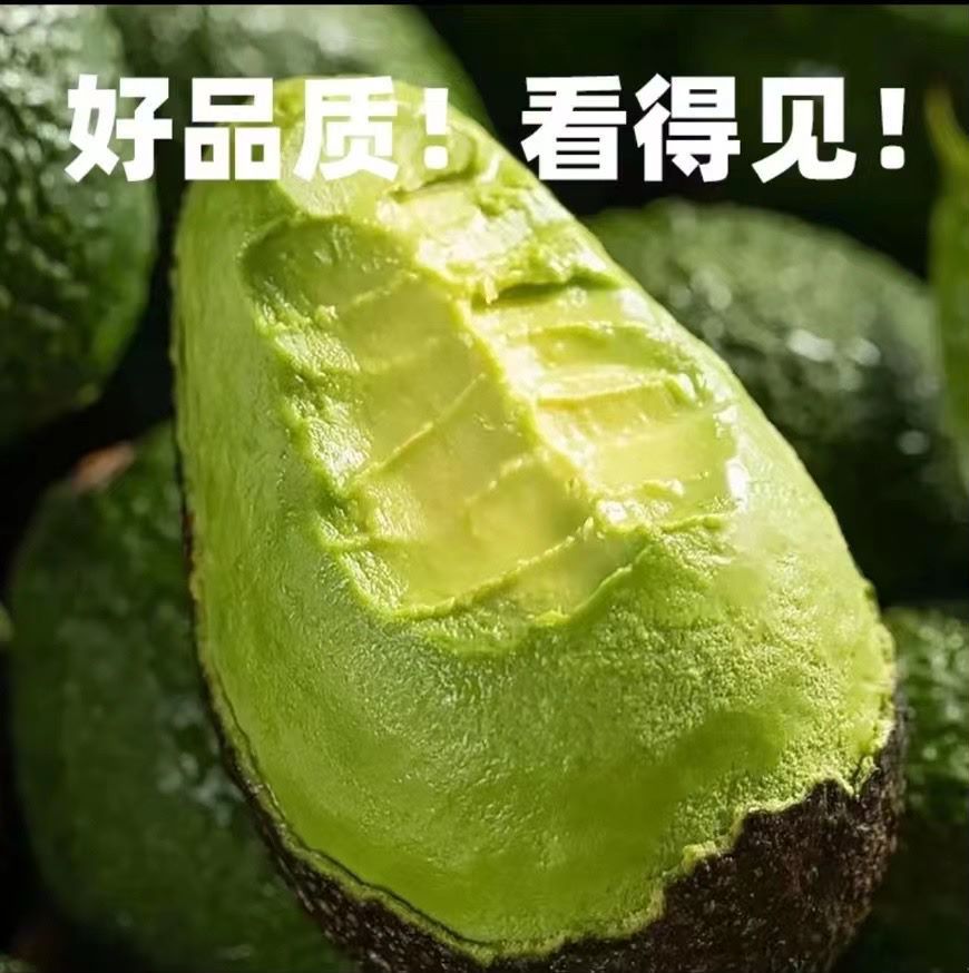 这次牛油果不是普通的果园出品，而是专业种植的“希源”，他们自2015年开始试种牛