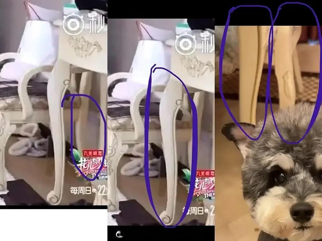 好像是cp粉扒到宋祖儿刘宇宁晒出的地板花纹很像，还有同款风格的桌椅。也有网友澄清