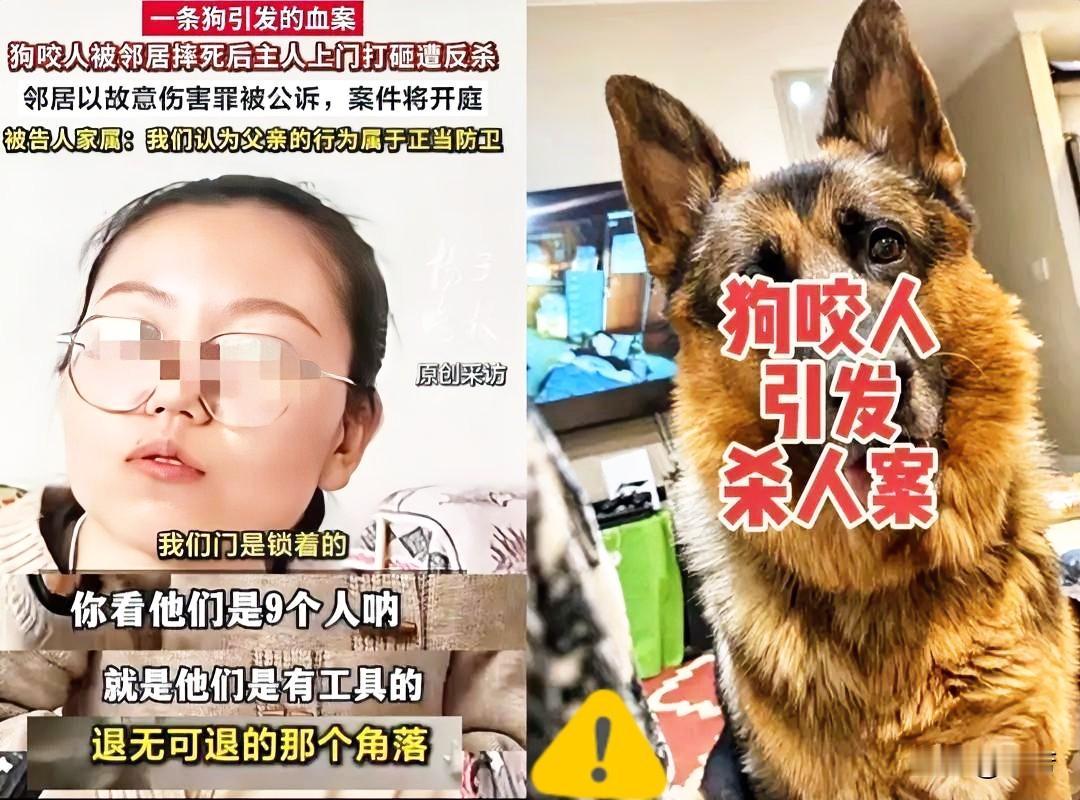 现在全网最烦恼的
不是因为狗被摔死了
也不是因为狗主人被捅死了
而是规则被无视“