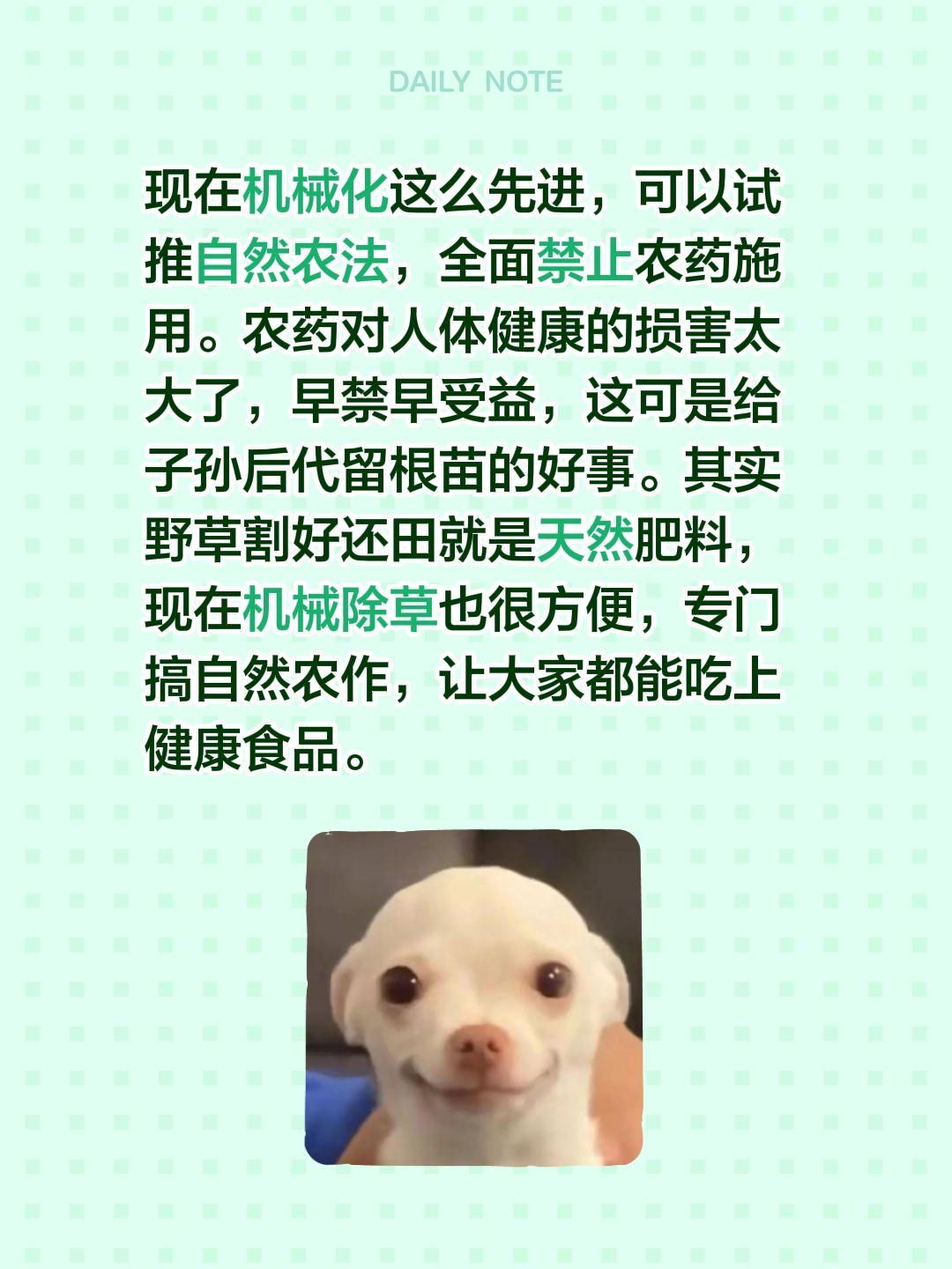 现在机械化这么先进，可以试推自然农法，全面禁止农药施用。农药对人体健康的损害太大