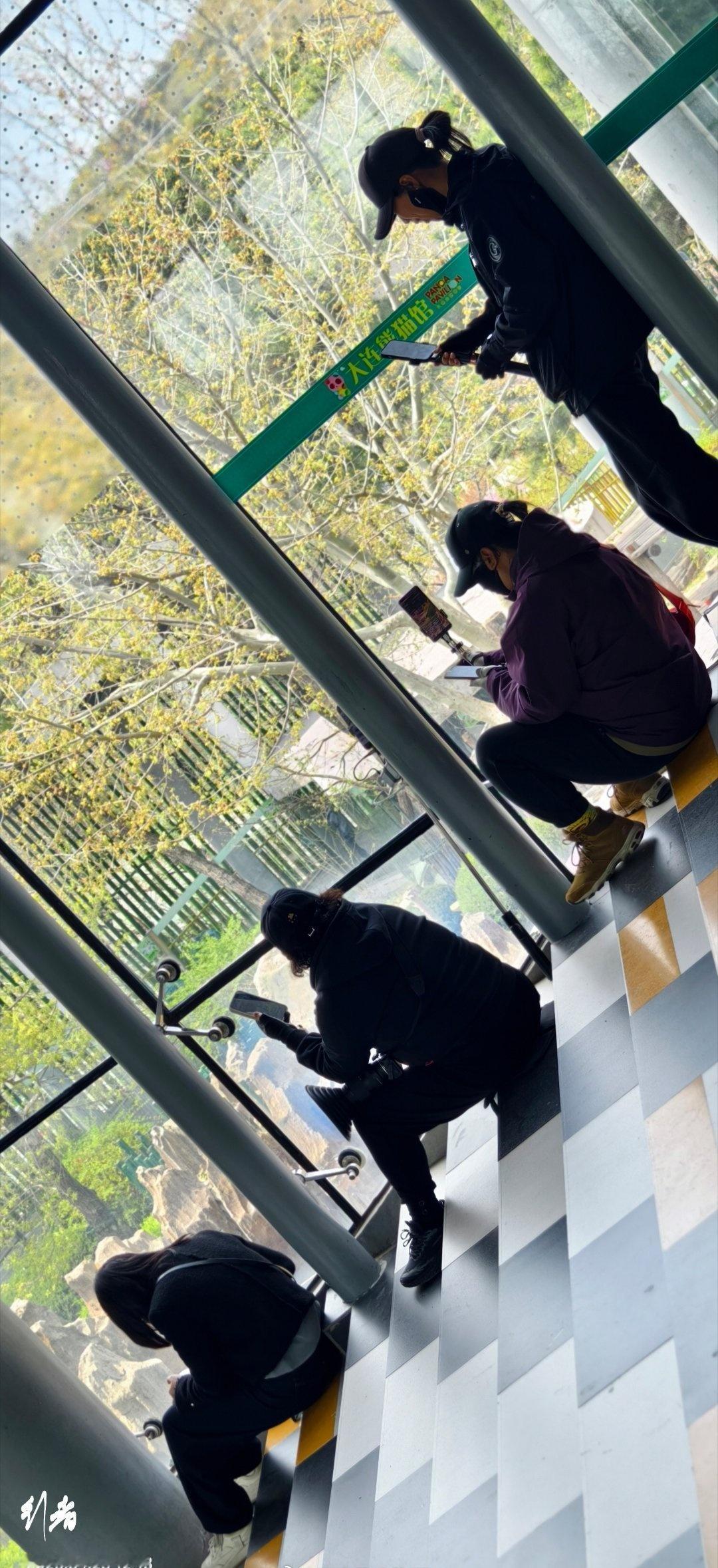 她们在做啥？…… ​​​