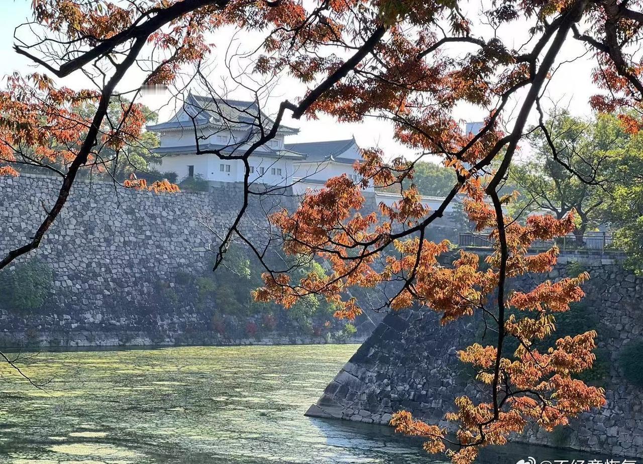 日本景色还是不错的，只是有些人一天天就光知道瞎折腾添乱，破坏美好