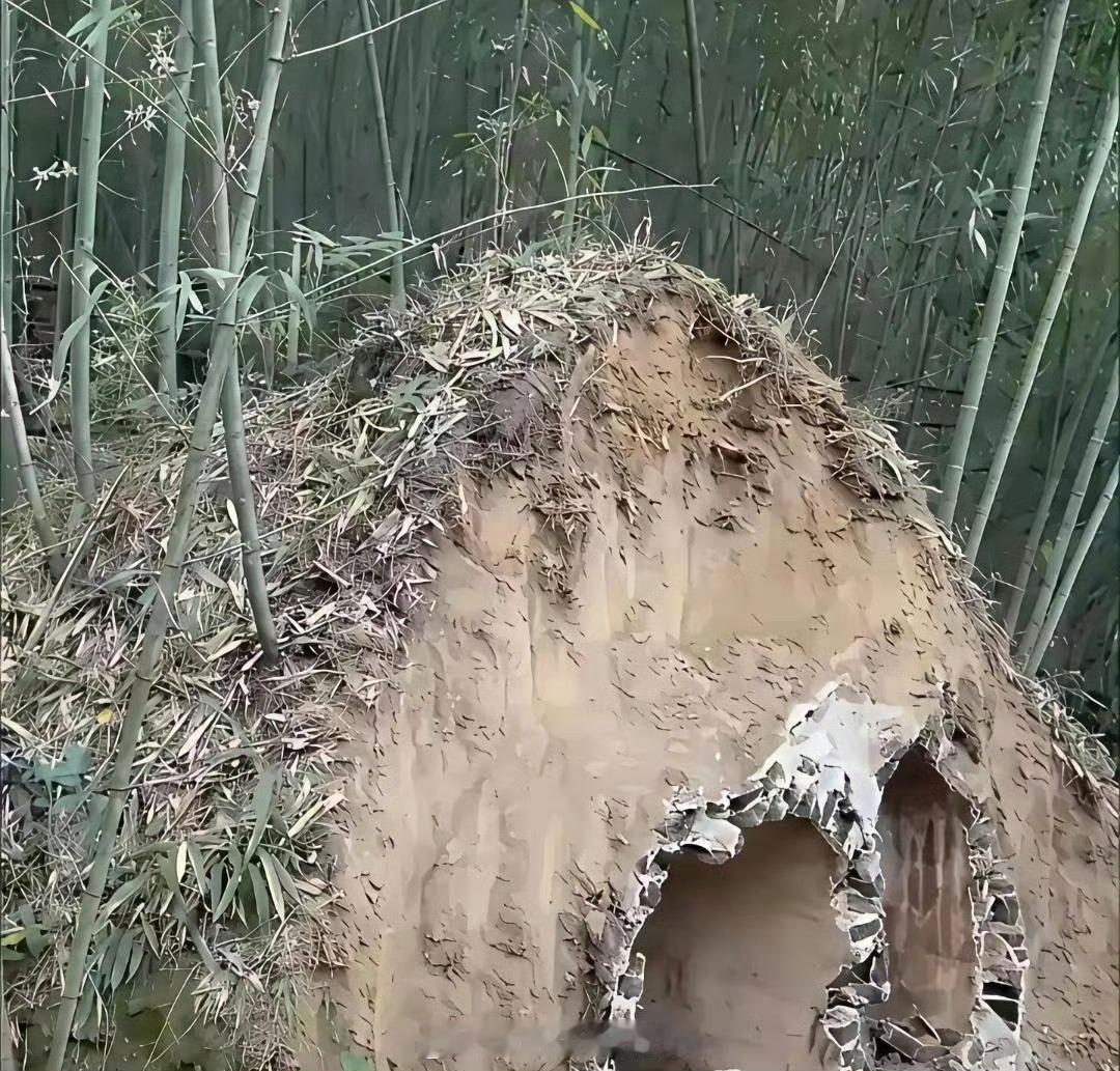 遇到这种事，现在跑还来得及吗 