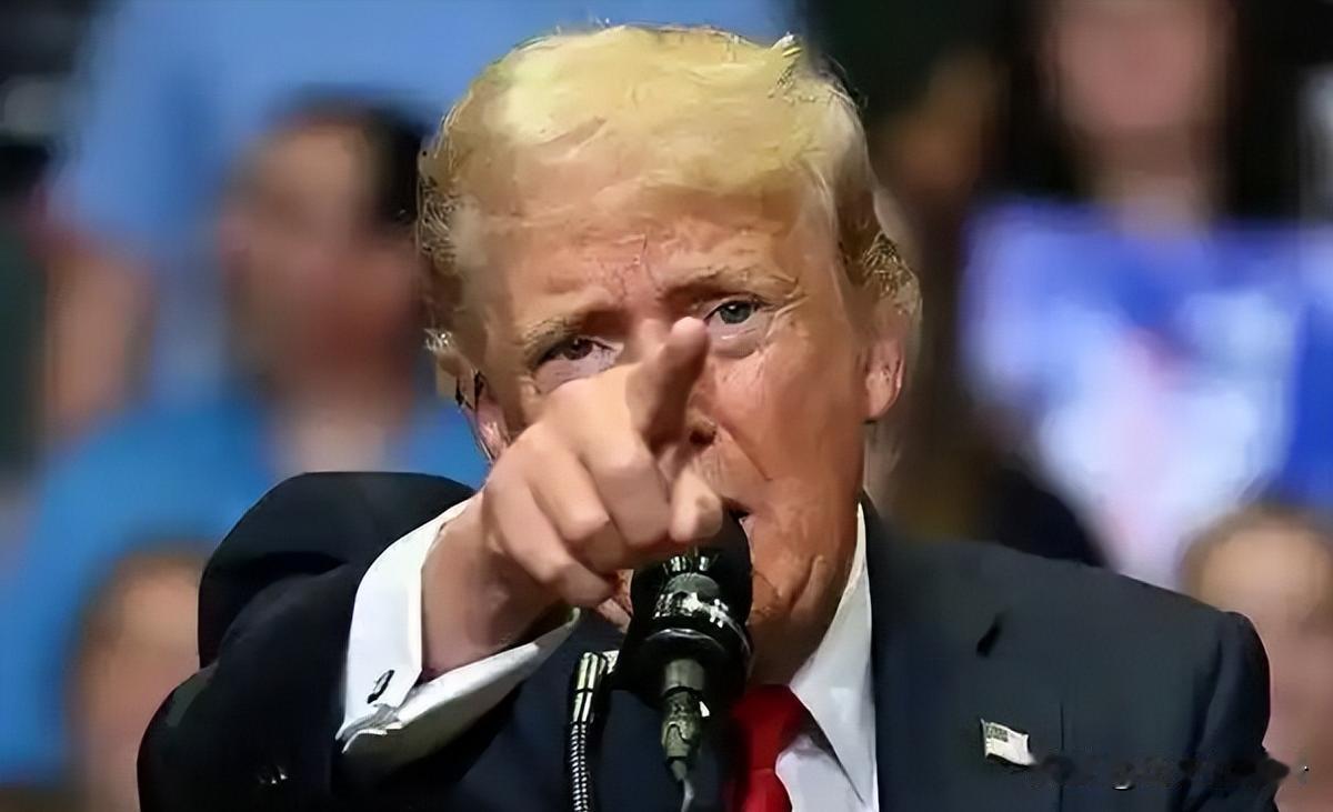原告：特朗普。被告：特朗普。法官：特朗普。银行卡持有人：特朗普。这是一场载入史册