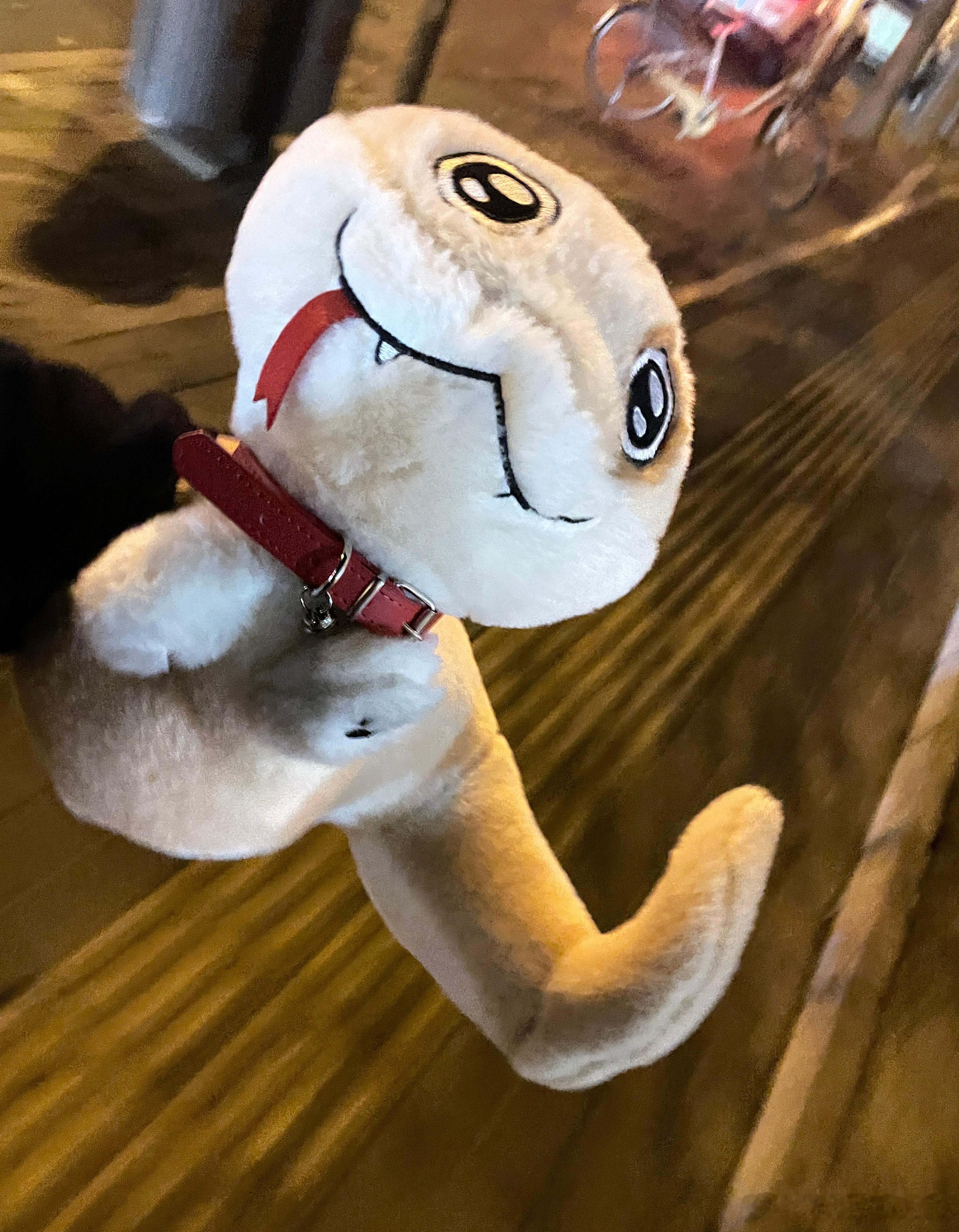 小点点小点点“汪～”开心！ 