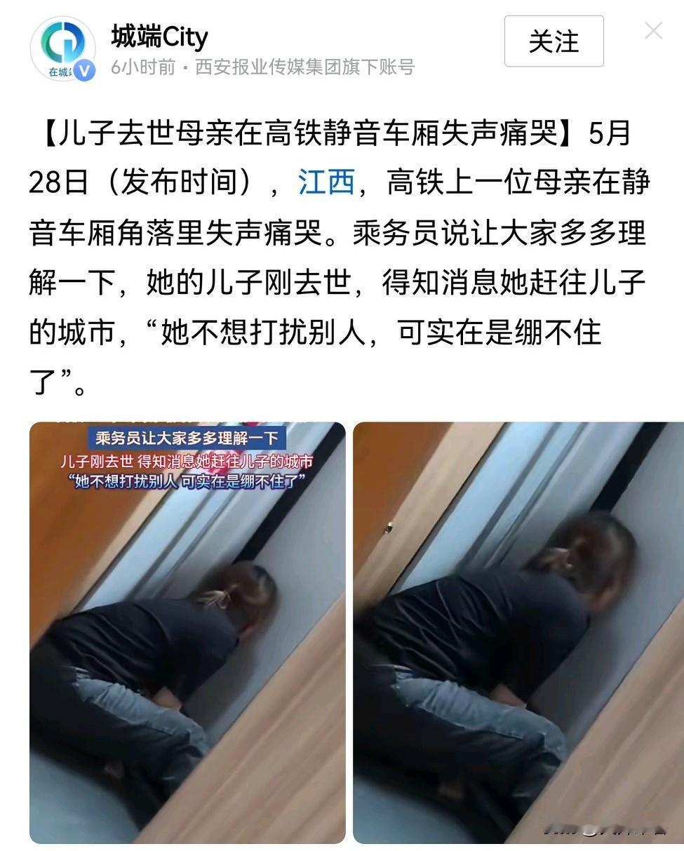 母亲太伟大了，生也是她，抚养也是她，伴他成长也是她，现在白发人送黑发人也是她。在