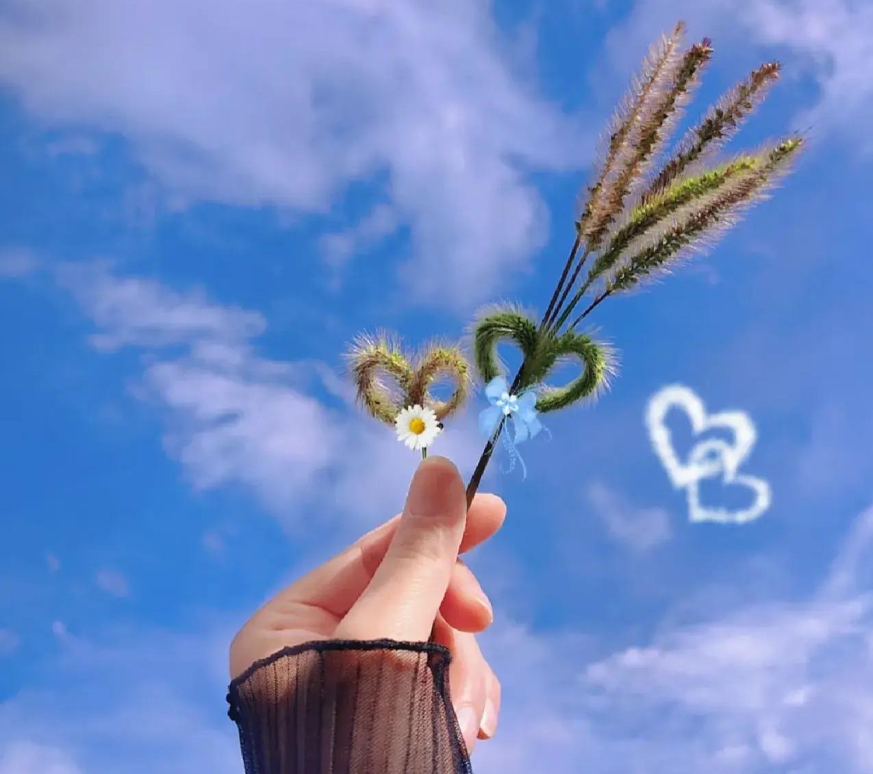 安静的空间，如同安静的文字，总能一寸一寸将人浸透，不知不觉，忘记呼吸。

“阿嬷
