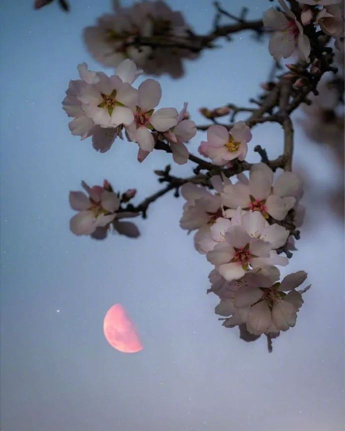 两个人是陪伴，一个人是勇敢。不要介意那些一个人的日子，孤独都是老天给我们的修炼。