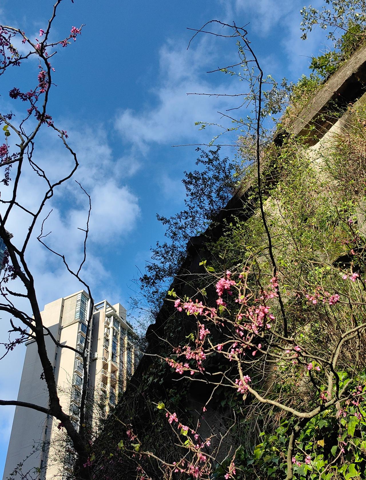 贵阳是中国南方省会中唯一拥有1000米左右黄金海拔的地方，这个海拔高度表现为不干