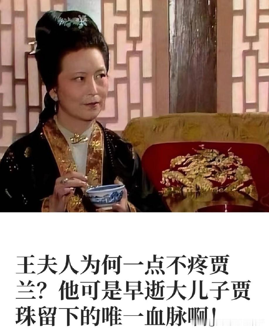 看《红楼梦》一直有个疑问：贾兰是早逝大儿子贾珠留下的唯一血脉，可作为亲奶奶的王夫