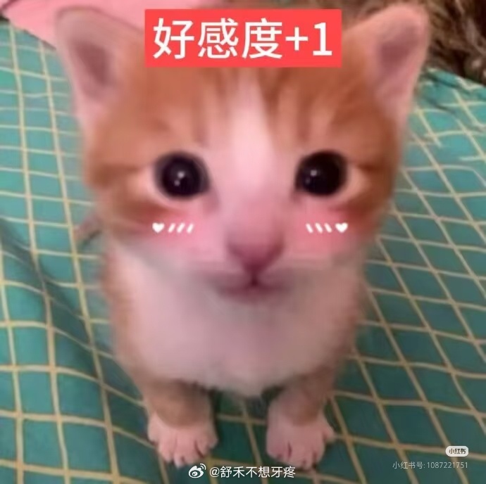 我将请婚假享受 ​​​