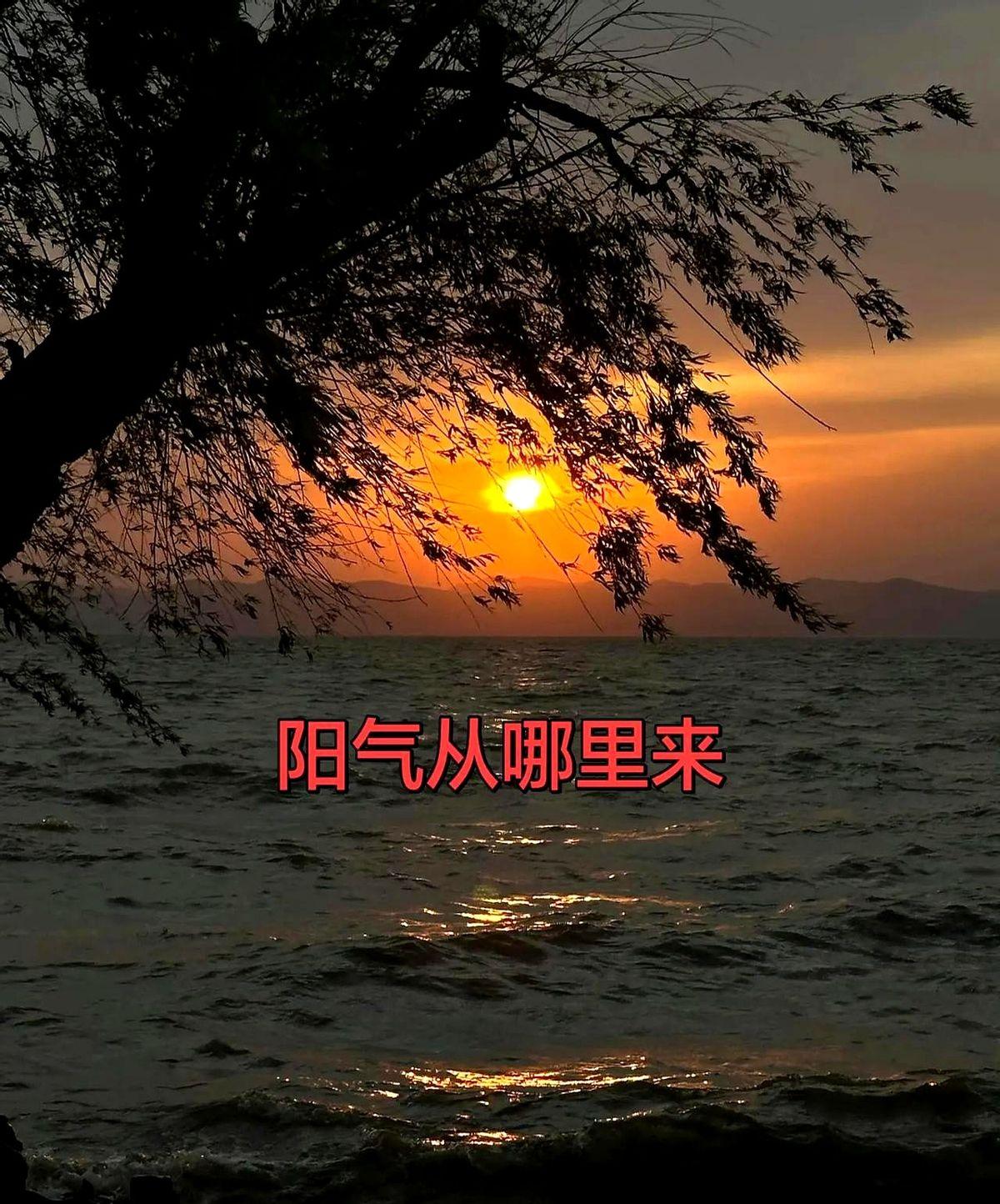 球进了又被吹掉，“霸王”宿迁队终究没能翻盘。

盐城队主场就这么硬气，控球率、射