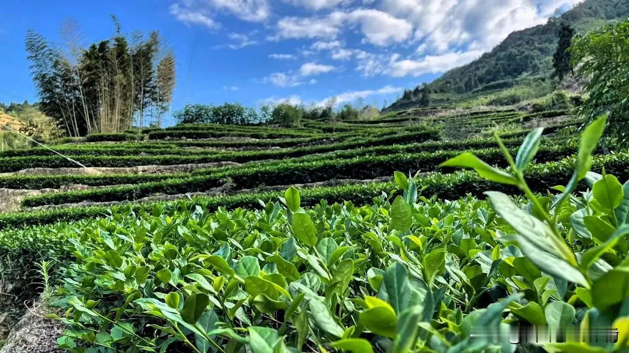 春夏秋冬四季雨
东南西北八面风