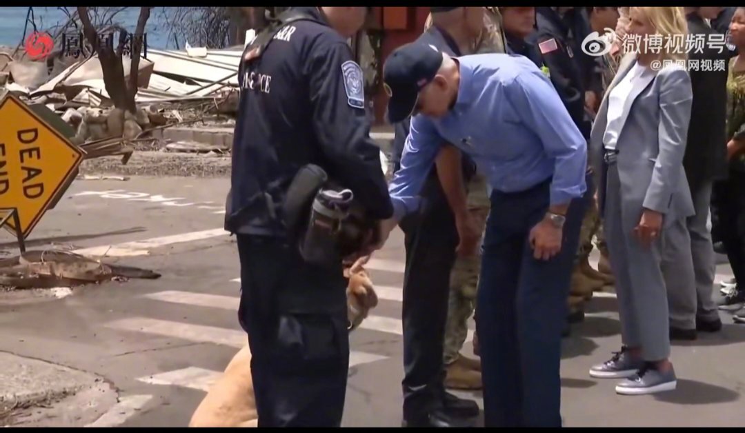 太感人了，拜登访问夏威夷，与搜救犬亲密互动[允悲][允悲][允悲] ​​​