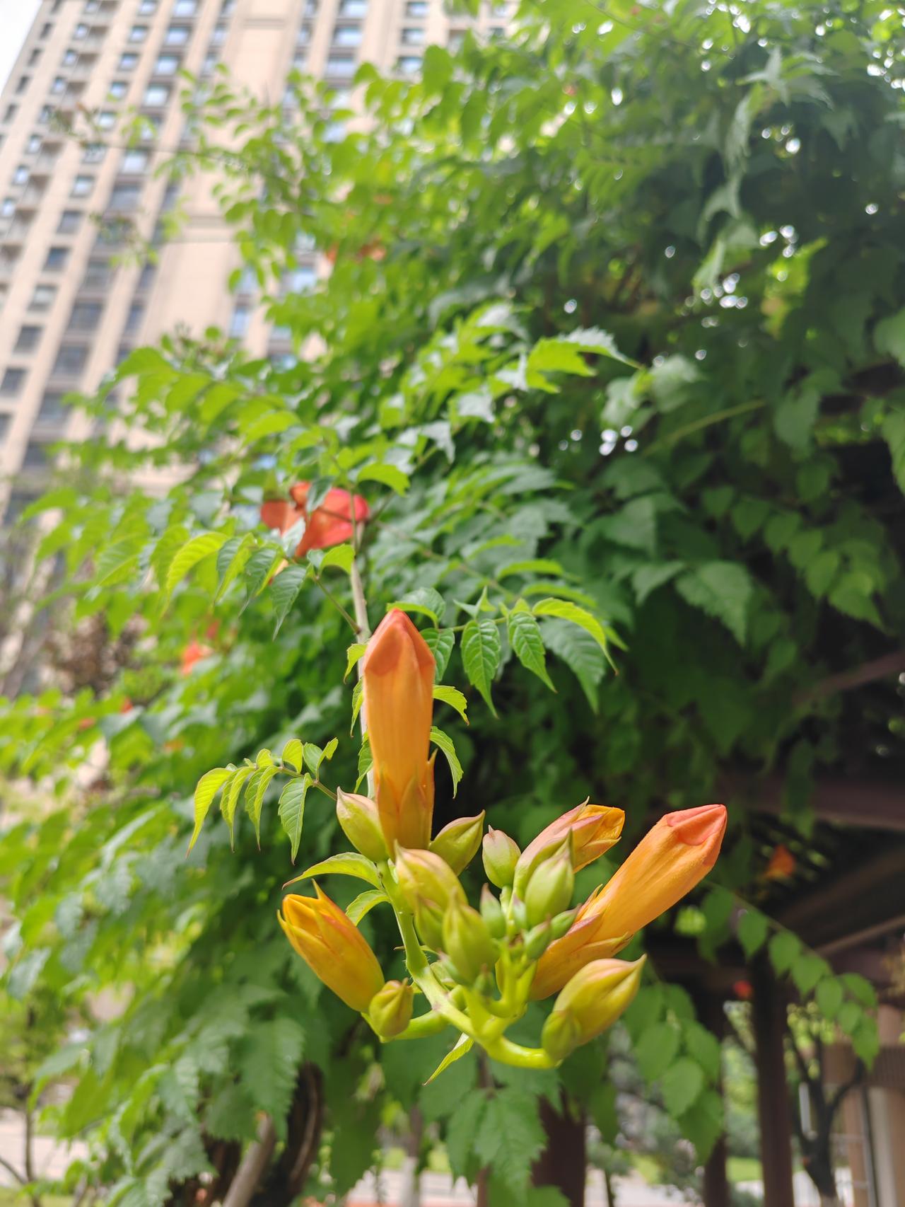 我认为越来越难了，为什么这么说呢？因为现在的孩子 都，包括家长都意识到多读书的重